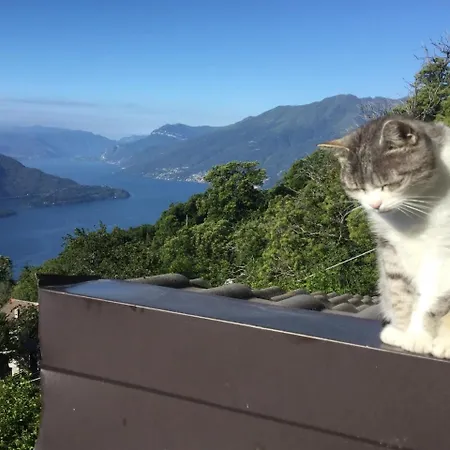 Lägenhet Rifugio Dalco Sorico