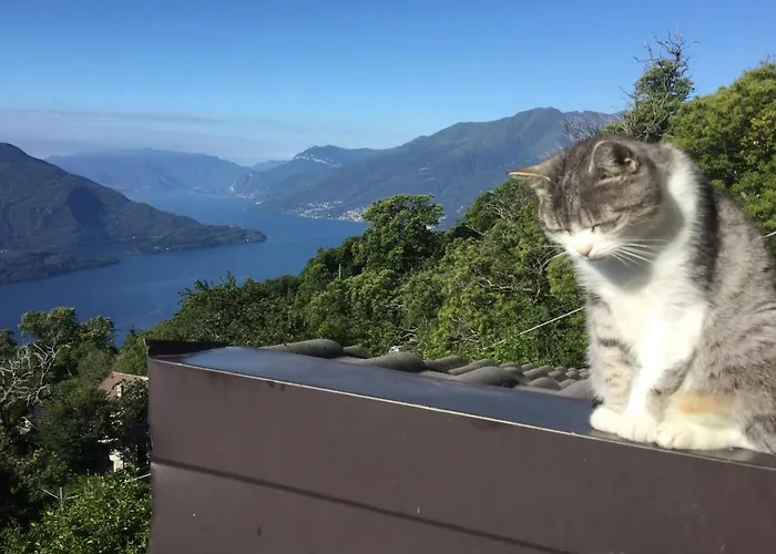 Διαμέρισμα Rifugio Dalco Sorico